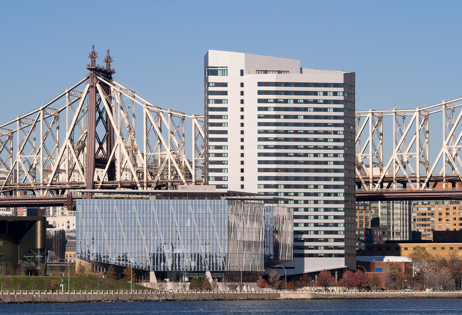 Cornell Tech buildings on Roosevelt Island, viewed from Long Island City.