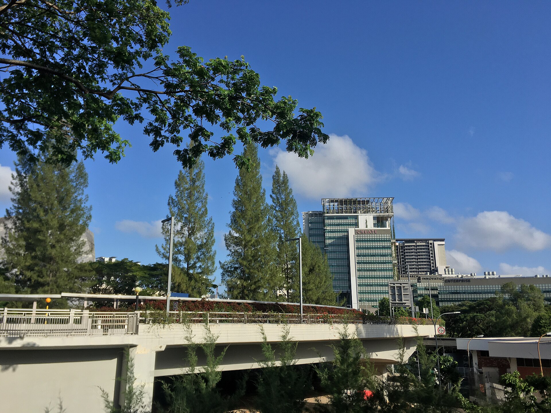 University Town Skyline from Northwest Kent Ridge Campus, National University of Singapore, February 2020