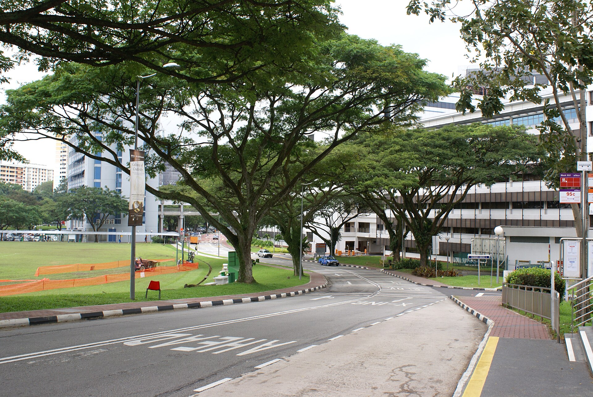 Lower Kent Ridge Road in Kent Ridge Campus of the National University of Singapore.