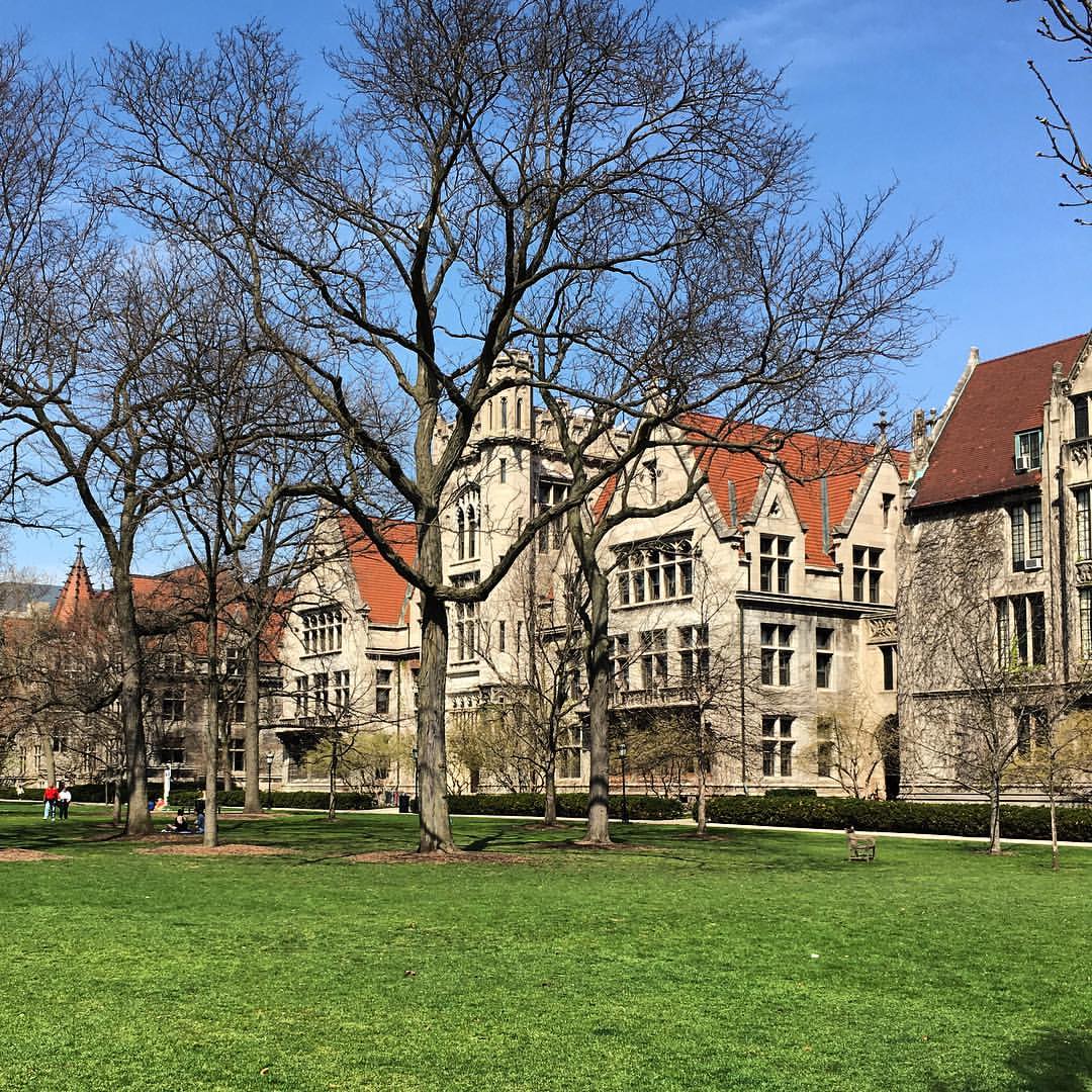 chicago #university #neogothique #quadrangle