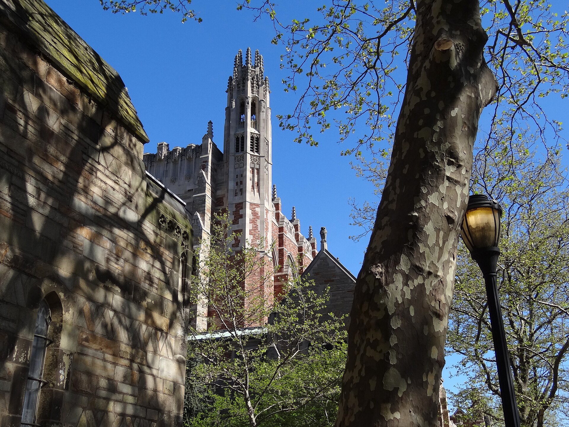 Yale University Campus Scene - New Haven - CT - USA - 05
